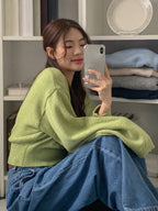 DAZY Vintage Minimalist V-Neck Long Sleeve Pullover Sweater shein