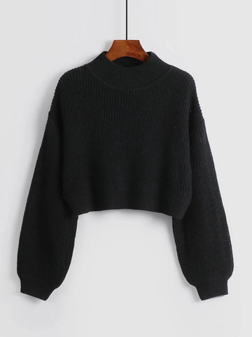 LUNE Solid Ribbed Knit Drop Shoulder Sweater shein