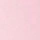 Color Bloom Liquid Blush Brush SHEGLAM