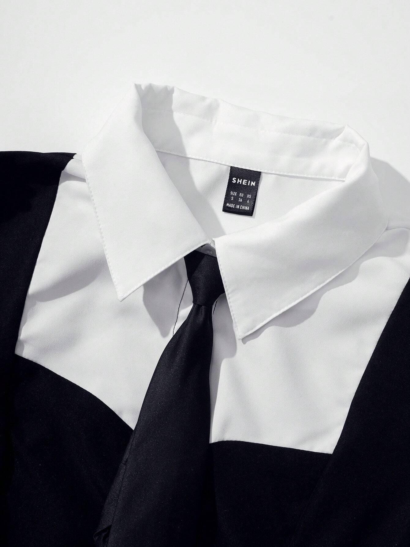 MOD Puff sleeve 2 in 1 Color Block Shirt Top Shein